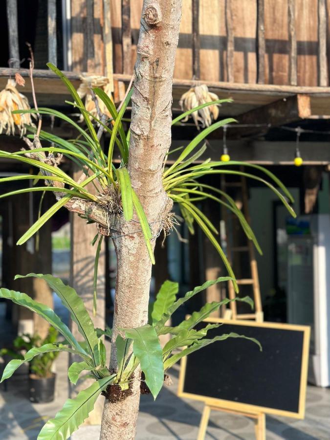 Du Gia Thu'S Homestay Làng Cac 외부 사진