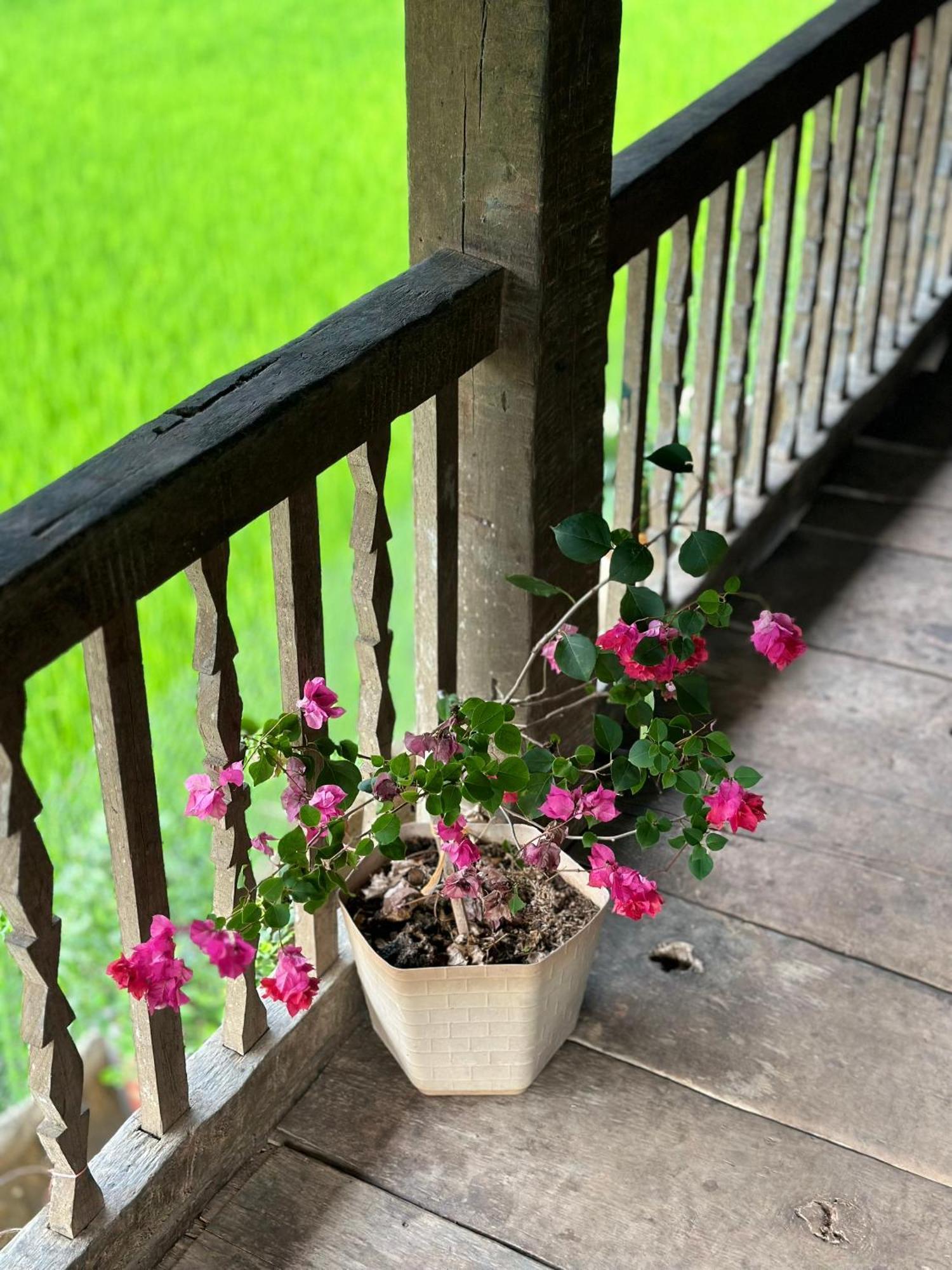 Du Gia Thu'S Homestay Làng Cac 외부 사진